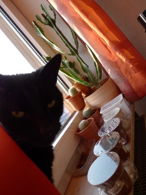 P1030789_01.jpg
