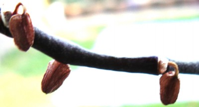 DSCF9854.JPG
