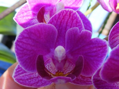 20110306 013.JPG