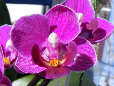 20110306 012.JPG