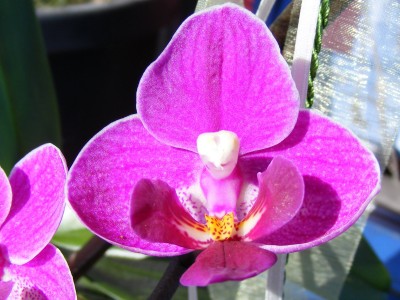 20110306 015.JPG