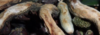 DSCF9863.JPG