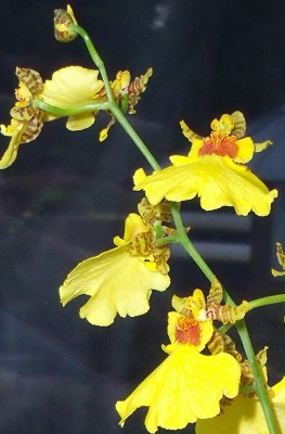 DSCF9862.JPG