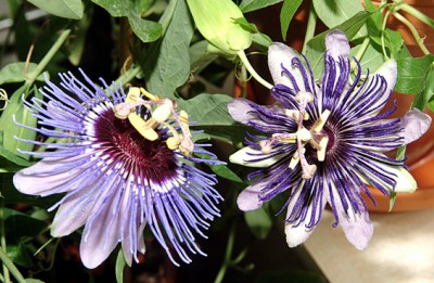 DSCF5576g.jpg