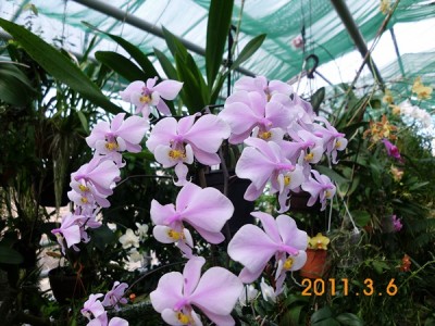 DSCI0766.JPG