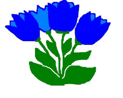 Blaue Tulpe.JPG