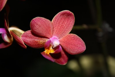 IMG_0163.JPG