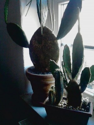 ..gesamt Ansicht...JPG