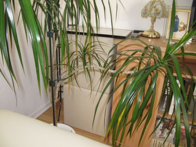 IMG_0720_klein.jpg