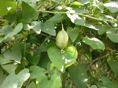 Winde3.JPG