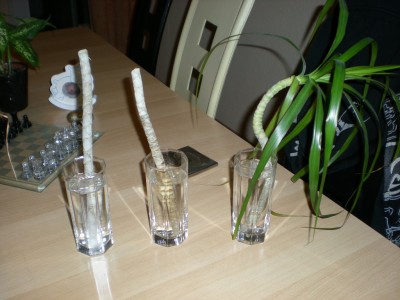 DSCN3901.jpg