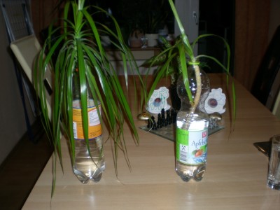 DSCN3900.jpg