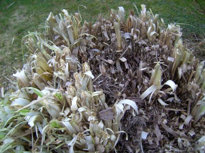 PICT0332.JPG
