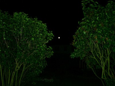 PICT0184.JPG