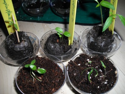 Gruppenbild 13.03.11.jpg