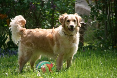 zuhause 25.04.2007 002.jpg