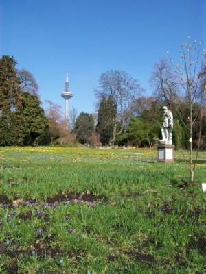 puektliche_fruehlingssonne.JPG