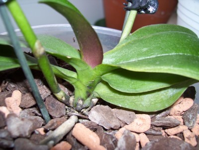 100_2076.JPG