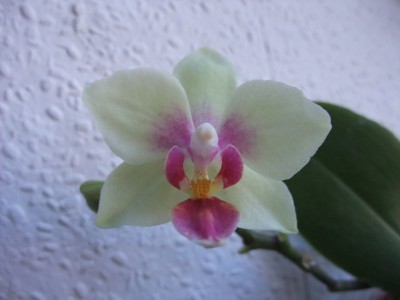 DSCF5750.JPG