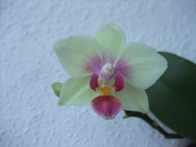 DSCF5748.JPG