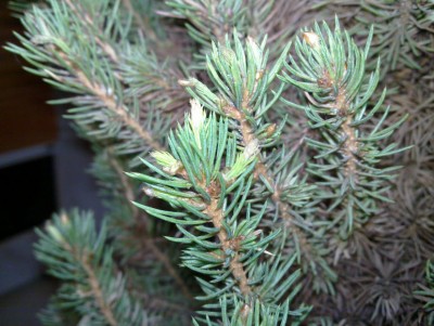20110321_008.jpg