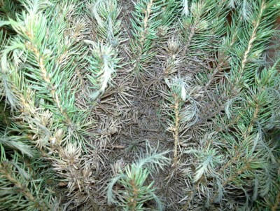 20110321_002.jpg