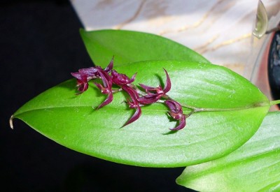 DSCI0921.JPG