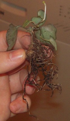 DSCN2818.JPG