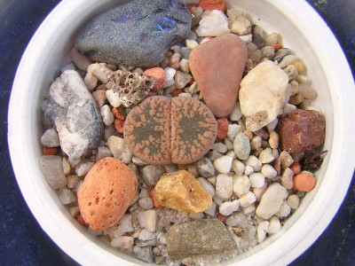 DSCN4635.JPG