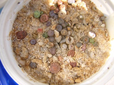 DSCN4631.JPG