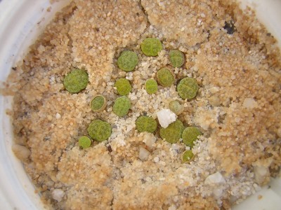 DSCN4630.JPG