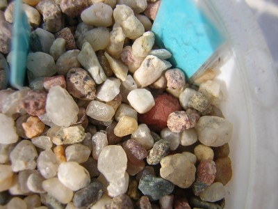 DSCN4627.JPG