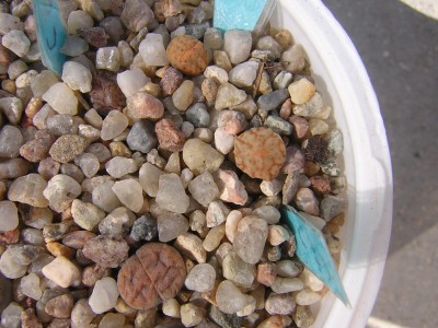 DSCN4626.JPG