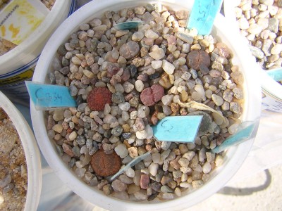 DSCN4625.JPG