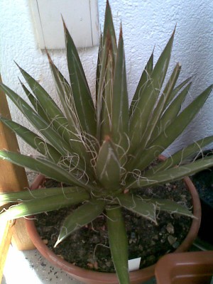 Bild001.jpg