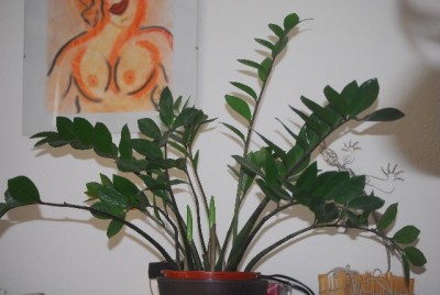 Bildforgreen 005yy.jpg