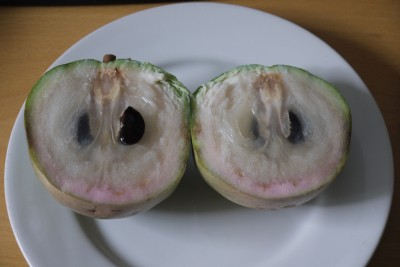 Unbekannte Frucht.jpg