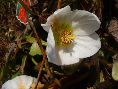 100D2152.JPG