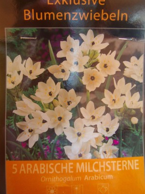 100D2116.JPG