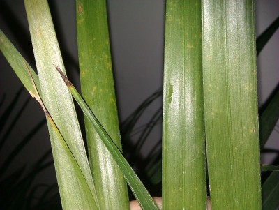 IMAG00761111111.JPG
