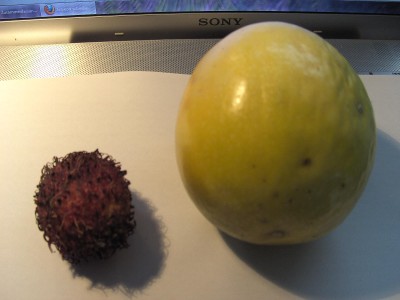 BILD0059.JPG