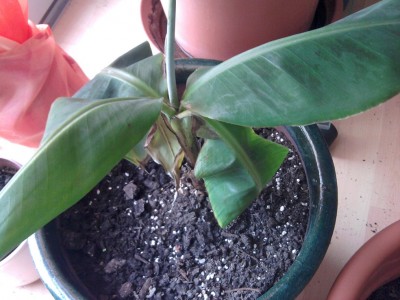 2011-03-27 12.03.56.jpg