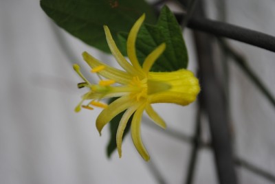 DSC_0292.JPG