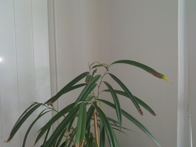 27032011188.JPG