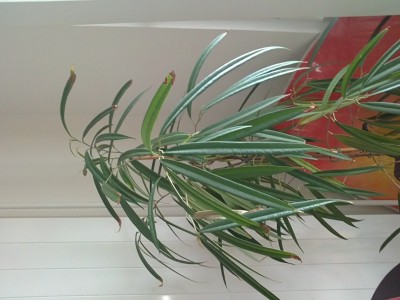 27032011187.JPG