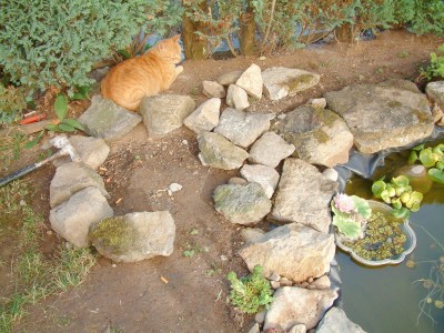 DSCF0042.JPG