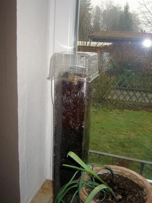 Kern Bild 05 17.03.11.JPG