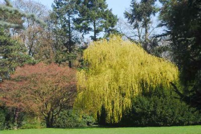 Fruehling 059yy.jpg