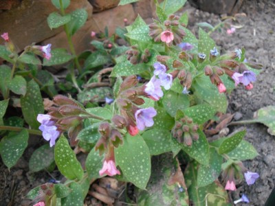 outside 28.03.11-2.jpg