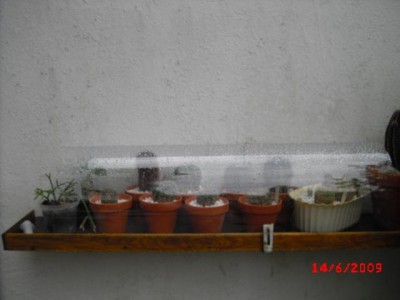 CIMG0141.JPG